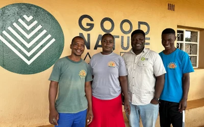 Organisational Mentorship Programme